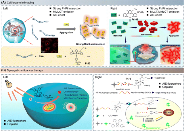 Review of AIE Platinum Complexes by Academician Tang and Professors Lin and Guo