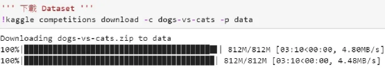 Building a Simple Cat-Dog Classifier with NVIDIA Jetson Nano