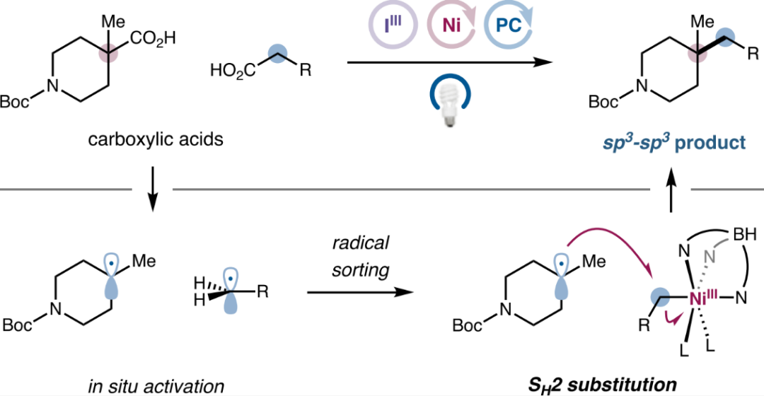 Nickel-Catalyzed Double Decarboxylative Cross-Coupling of Aliphatic Carboxylic Acids