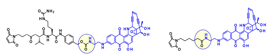 Overview of Antibody-Drug Conjugates (ADCs)