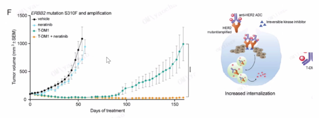 Current Status, Challenges, and Future of ADC Drug Development