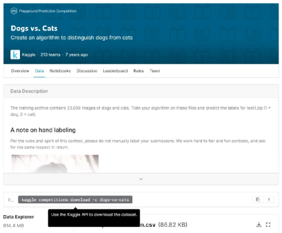Building a Simple Cat-Dog Classifier with NVIDIA Jetson Nano