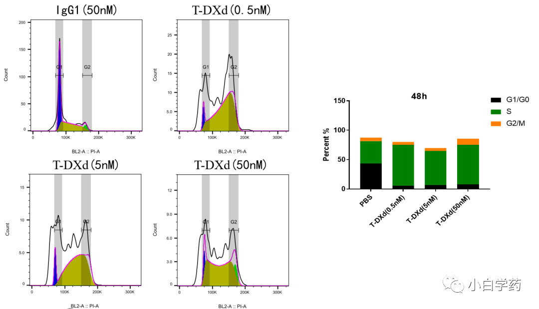 Non-Clinical Research of ADC Drugs