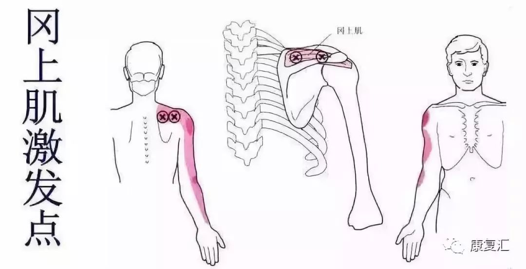 Detailed Guide to Shoulder Joint Physical Examination for Rehabilitation