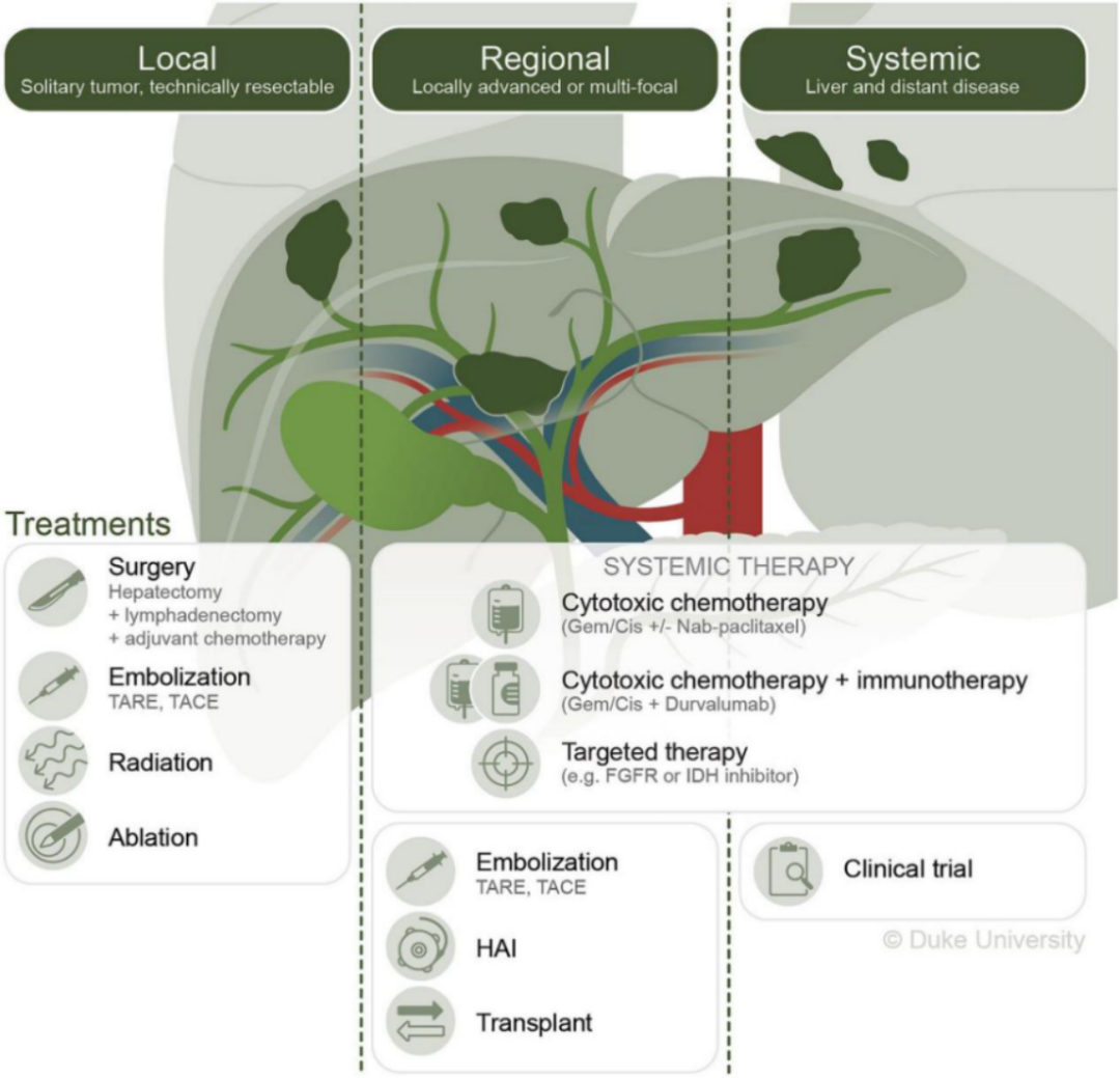 Comprehensive Review of Current Advances in Intrahepatic Cholangiocarcinoma Treatment