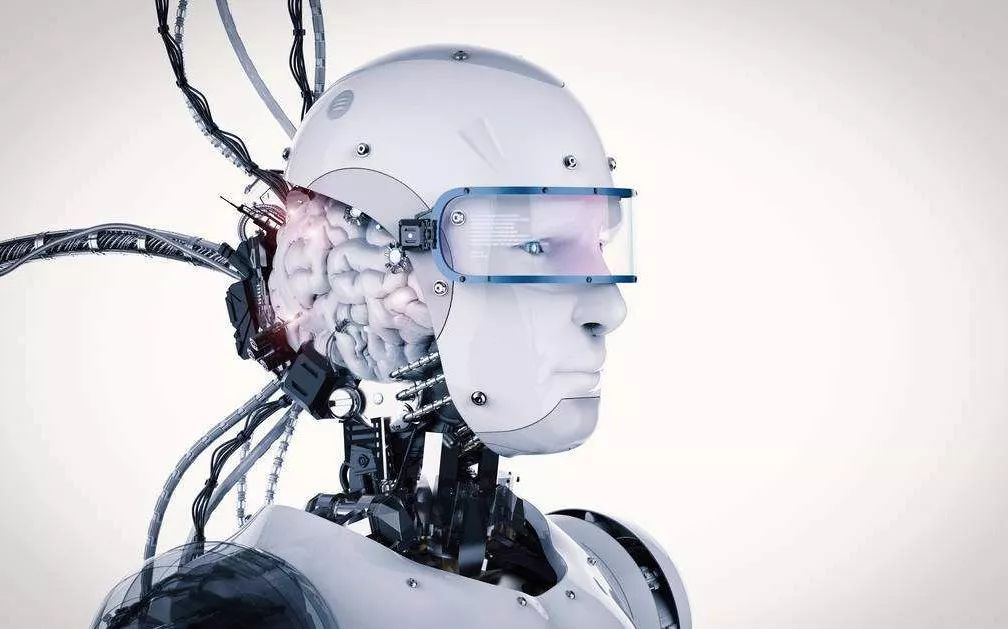 The Brain of Robots