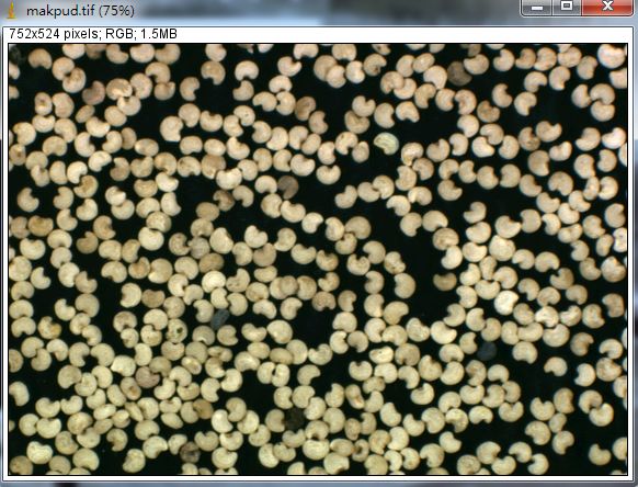 Unlocking Various Technical Skills in ImageJ