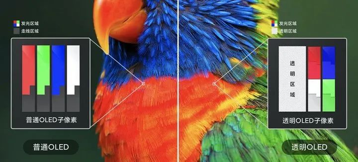 Understanding OLED Transparent Display Technology