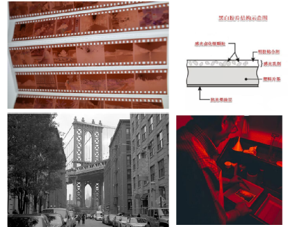 The Evolution and Principles of CCD Image Sensors