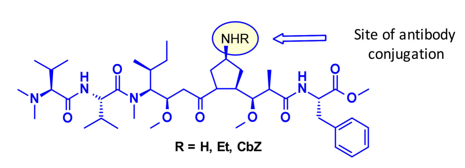 Overview of Antibody-Drug Conjugates (ADCs)