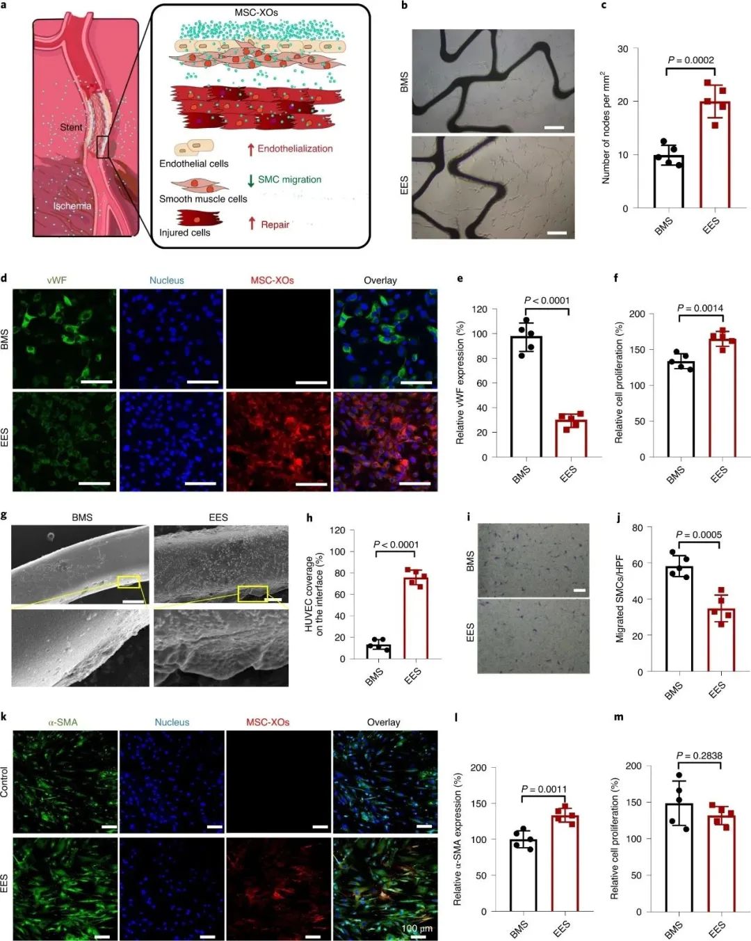Bioprinting of Vascularized Tissues: A Comprehensive Review