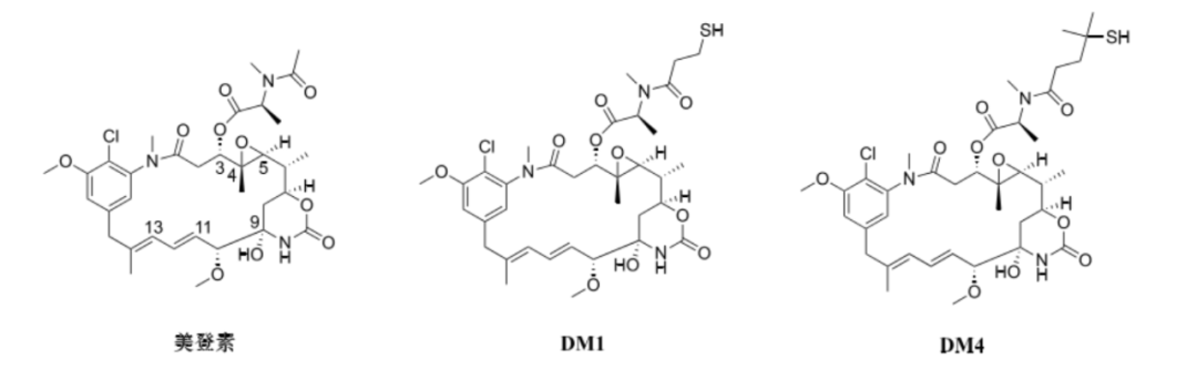 Choosing ADC Toxins: IC50, Mechanisms, and Clinical Insights