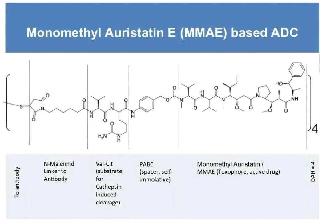 Challenges and New Technologies in ADC Drugs