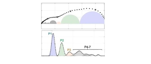 Application of DRT in Electrochemical Impedance Spectroscopy