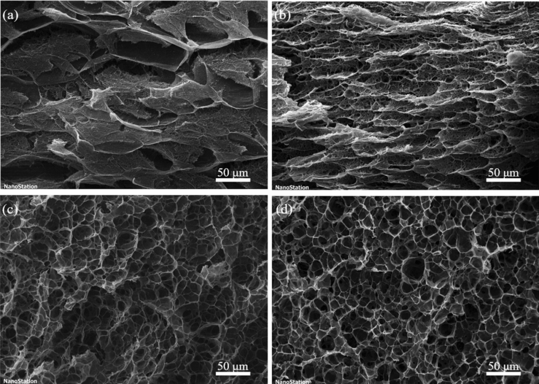 3D Bioprinting of Complex Biological Structures with Tunable Properties