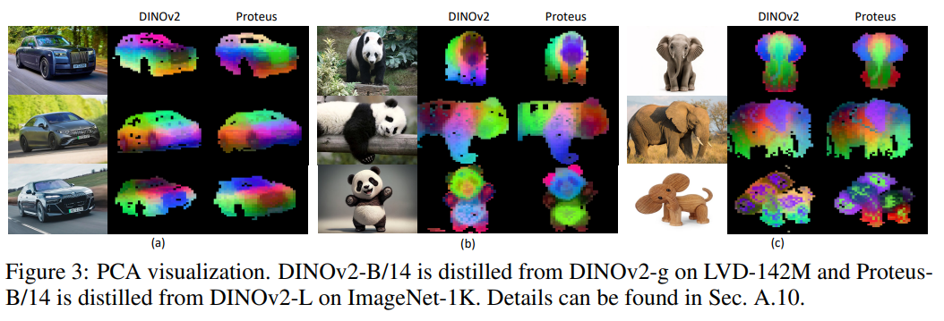Training Vision Foundation Models on ImageNet-1K