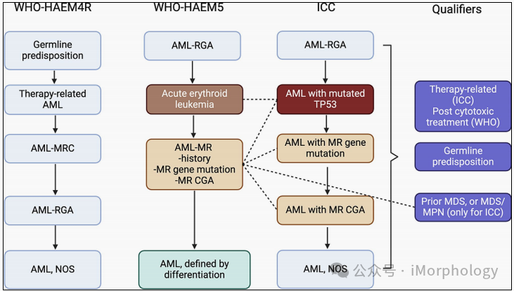 Differences in Classification of TP53-MDS, MDS/AML, and AML by WHO and ICC