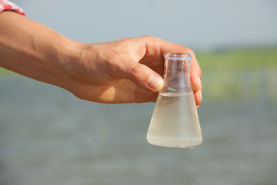 Rapid Water Quality Testing: Evanescent Wave Fiber Sensors