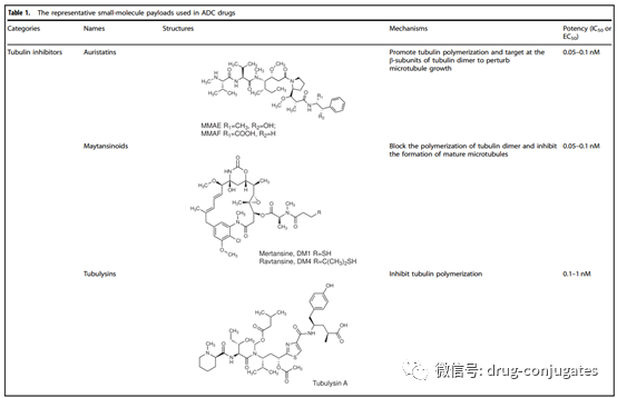 In-Depth Review of ADC Drug Development and Future Directions