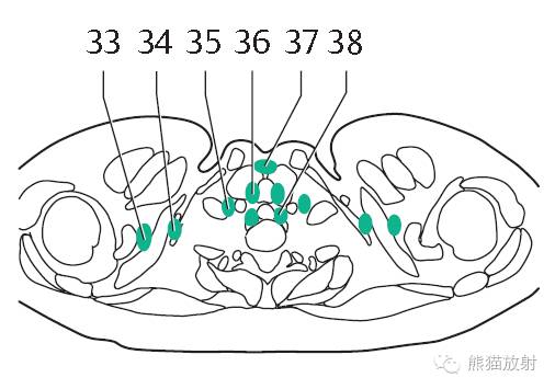 Chest Anatomy | Chest CT Cross-Sectional Anatomy