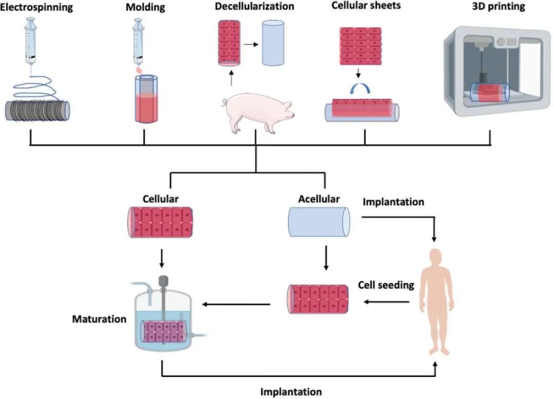 Bioprinting of Vascularized Tissues: A Comprehensive Review