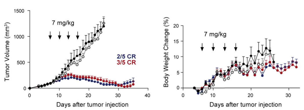 Technical Insights into 15 ADC Drugs and Future Innovations
