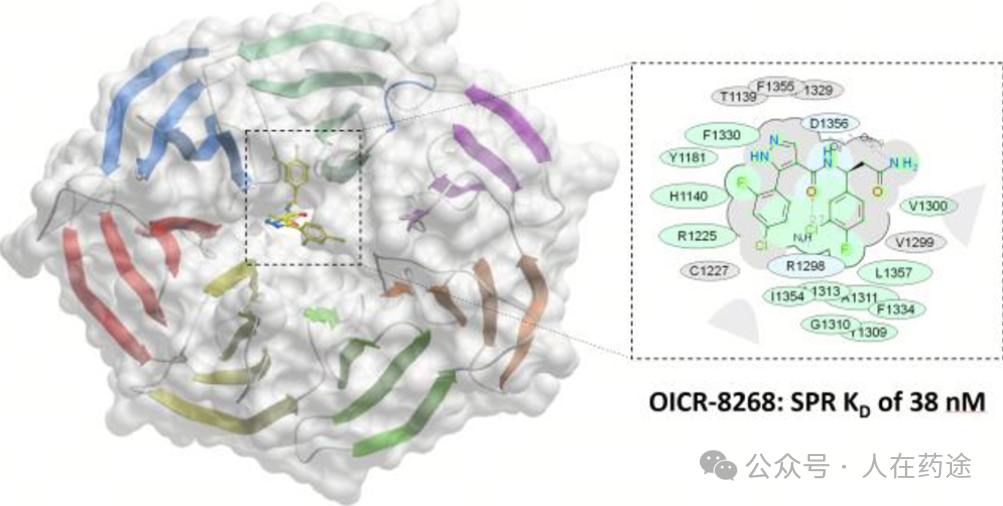 The Future of PROTACs and Molecular Glue: E3 Ligand Development Overview