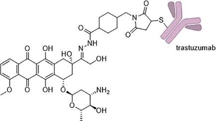 Exploring the Stories Behind ADC Payloads: Traditional Chemotherapeutics