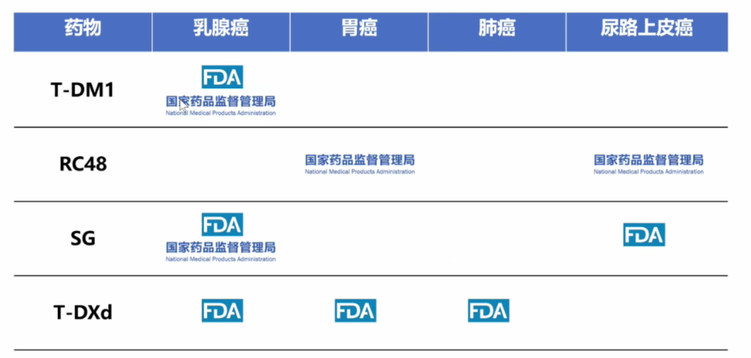 Current Status, Challenges, and Future of ADC Drug Development