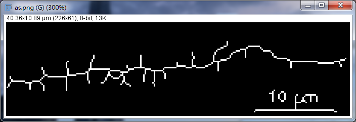 Unlocking Various Technical Skills in ImageJ
