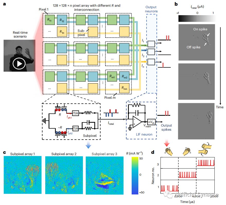 Neuromorphic Event-Driven Vision Sensors for Motion Recognition