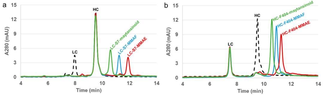 Characterization Techniques for Antibody Drug Conjugates (ADCs)