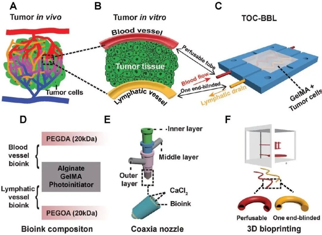 Bioprinting of Vascularized Tissues: A Comprehensive Review