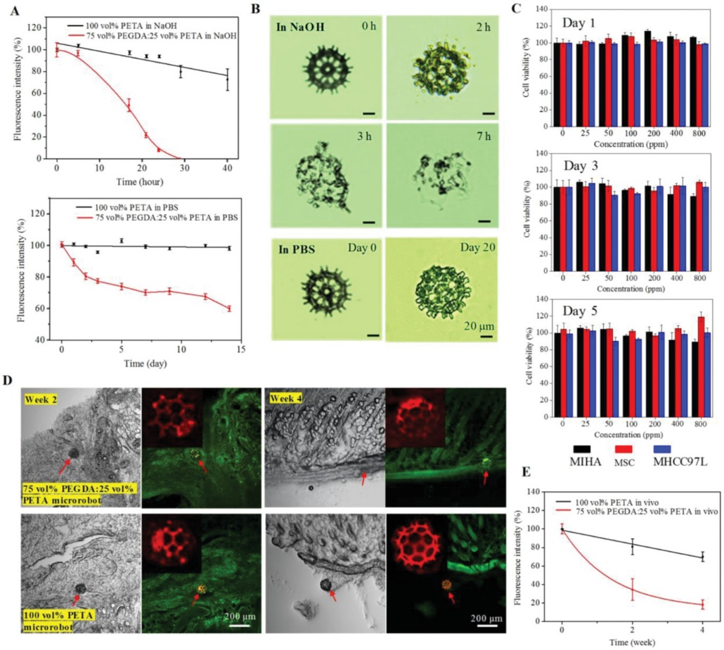 Degradable Microrobots for Targeted Cancer Therapy