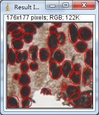 Unlocking Various Technical Skills in ImageJ