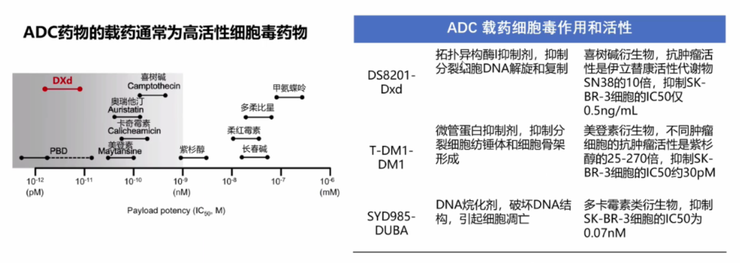 Current Status, Challenges, and Future of ADC Drug Development