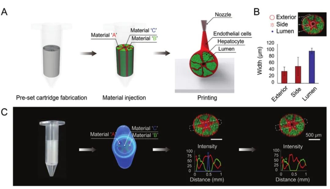 Bioprinting of Vascularized Tissues: A Comprehensive Review