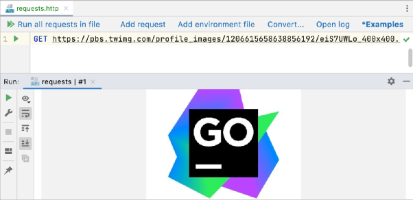 Detailed Guide on GoLand HTTP Client