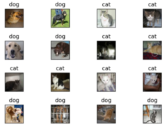 Building a Simple Cat-Dog Classifier with NVIDIA Jetson Nano