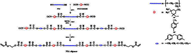 Molecular Structure of Polyurethane Acrylate Affects PDLC Morphology