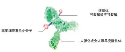 Understanding Antibody-Drug Conjugates (ADCs)