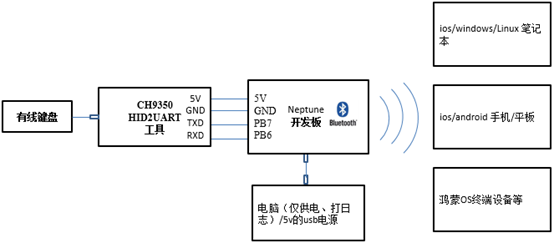 DIY Guide for Bluetooth Keyboard Module Based on Neptune Development Board