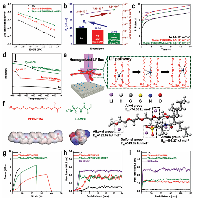 Star-Structured Polymer Electrolyte for Low-Temperature Lithium Batteries