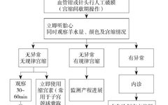 Clinical Application and Key Points of Artificial Rupture of Membranes