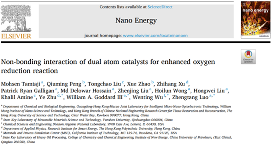 Applications Of DFT Calculations In Dual-Atom Catalysts