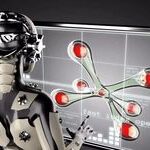 The Brain of Robots