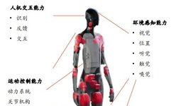 Comprehensive Analysis of Humanoid Robots