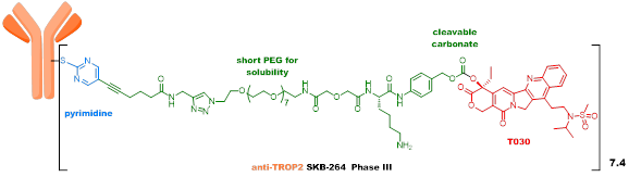 Technical Insights into 15 ADC Drugs and Future Innovations