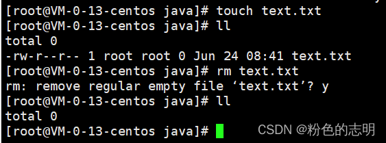 Common Linux Commands Explained