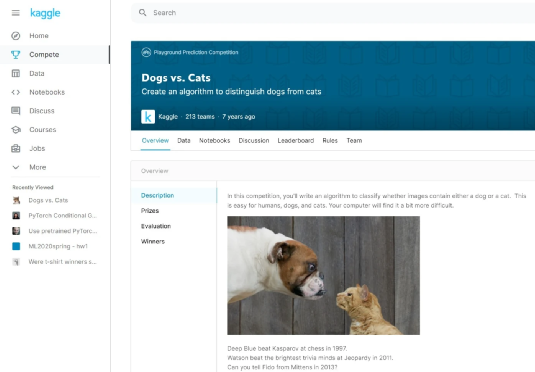 Building a Simple Cat-Dog Classifier with NVIDIA Jetson Nano